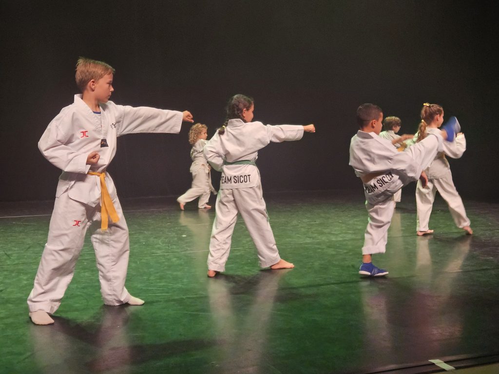 taekwondo gala 2024