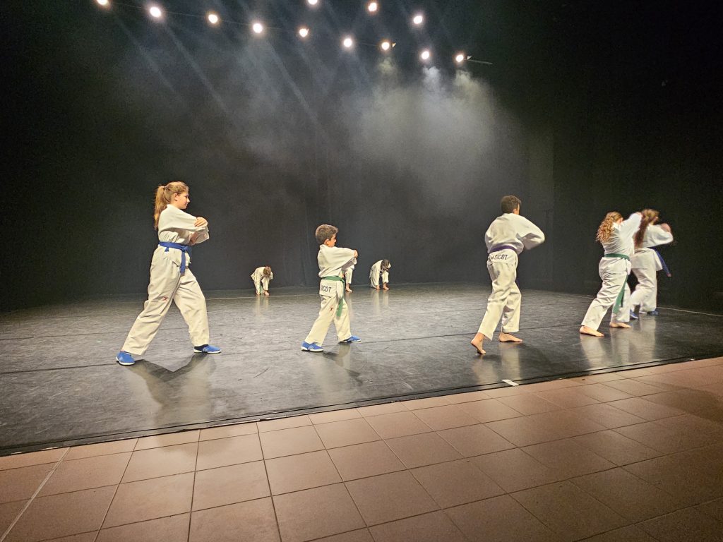 taekwondo gala 2024
